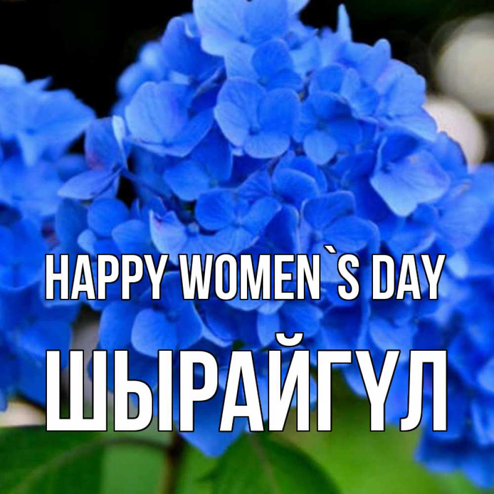 Greetings card с именем, ШЫРАЙГҮЛ happy women`s day синие цветы Greetings with text for free download 
